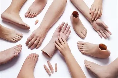 Range of silicon prosthetic hands and feet